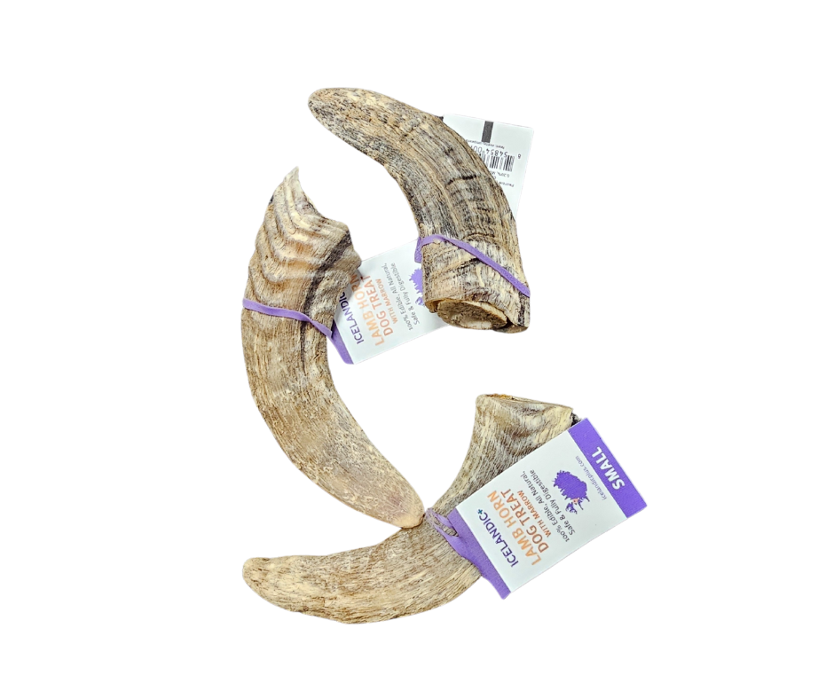 Icelandic Lamb Horn
