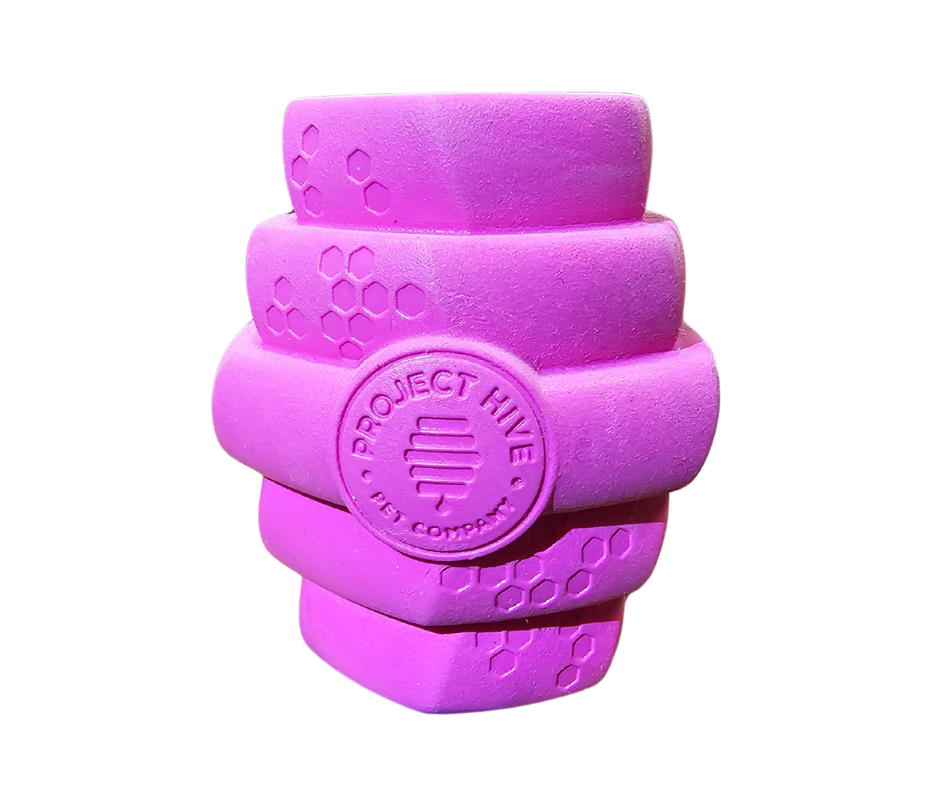 Hive chew toy