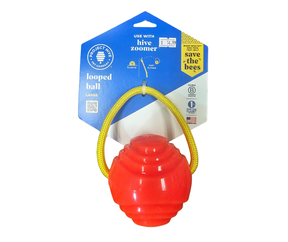 Looped Hive Toy