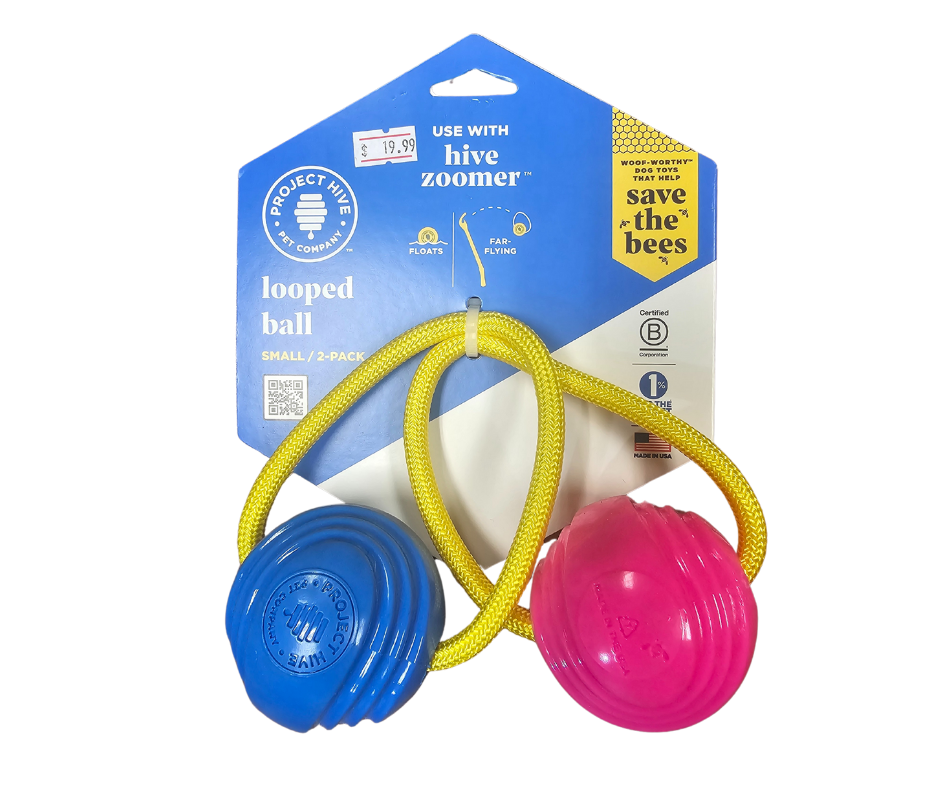 Looped Hive Toy