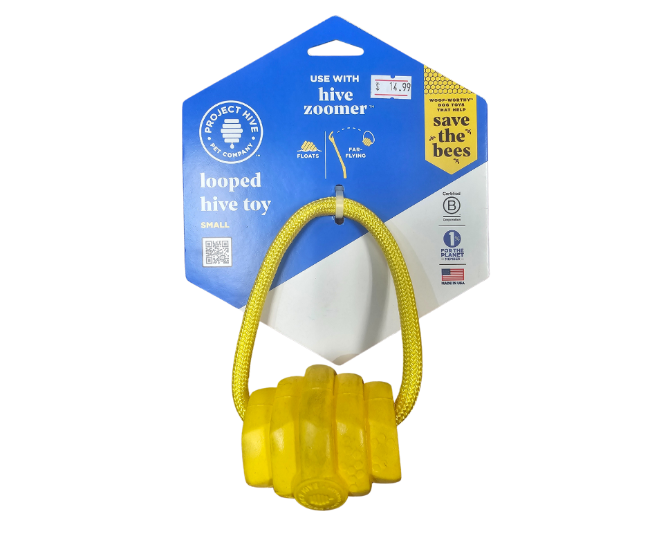 Looped Hive Toy