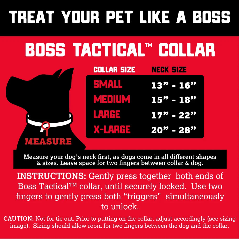 BOSS DOG Collar