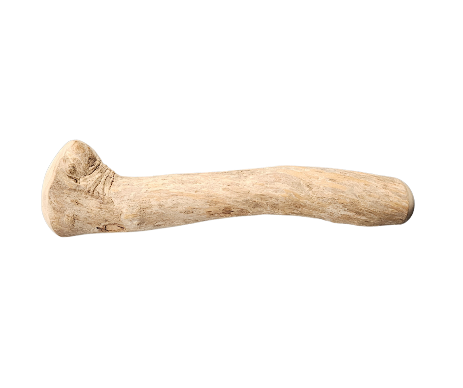 Canophera Coffe Tree Wood Dog Chew