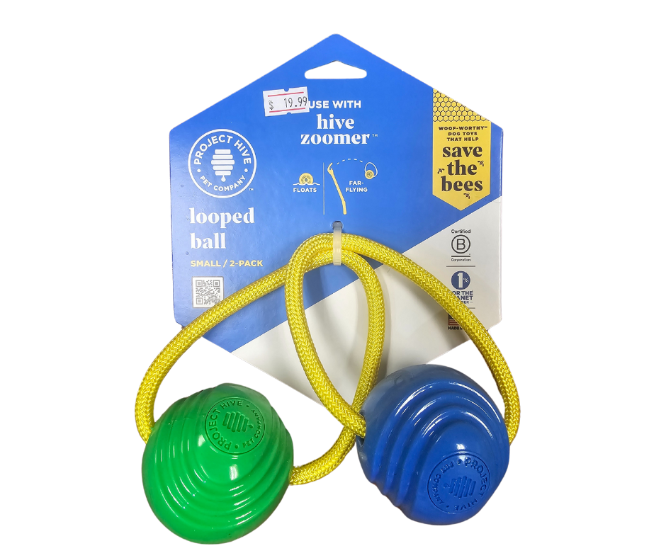 Looped Hive Toy