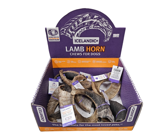Icelandic Lamb Horn